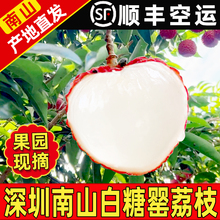深圳南山荔枝西丽果场白糖罂荔枝新鲜采摘水果小核5斤顺丰包邮