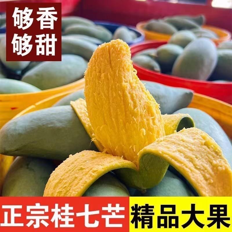 正宗广西百色田东桂七芒果当季现摘新鲜老树香甜水果