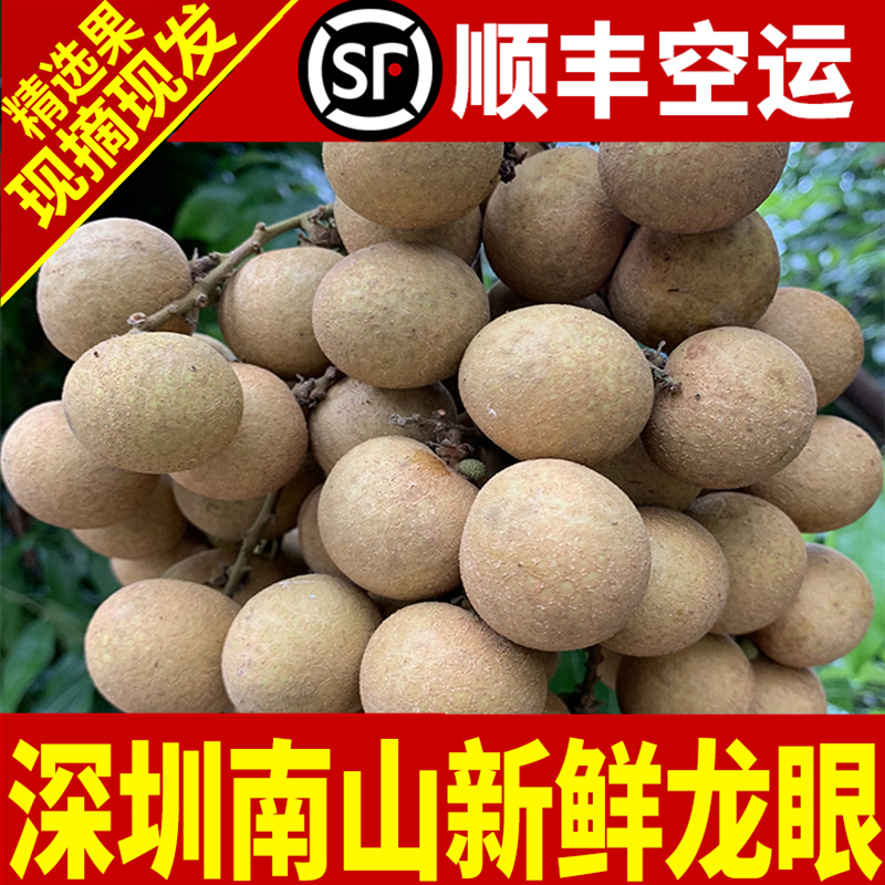 深圳山石龙眼新鲜水果桂圆储良