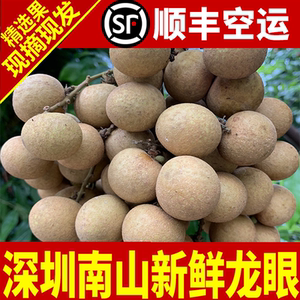 深圳山石龙眼新鲜水果桂圆储良
