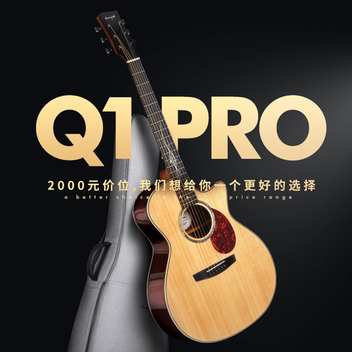 恩雅Q1Pro初学/进阶面单板云杉