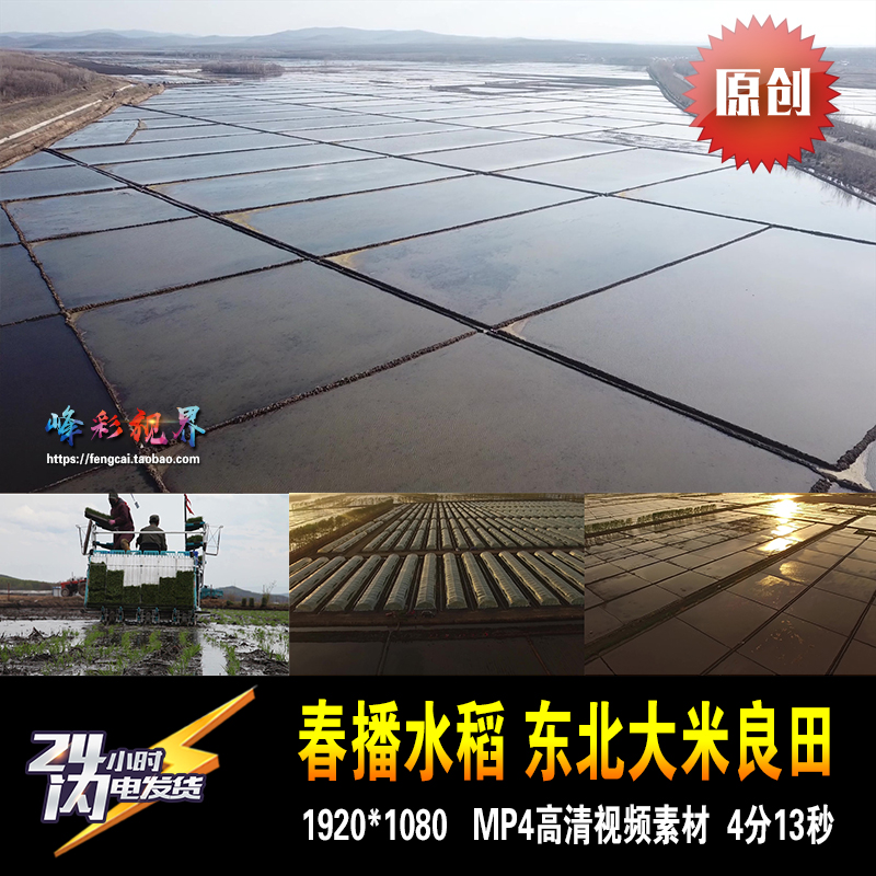 春播水稻良田东北大荒现代机械农业大米播种航拍原创高清视频素材