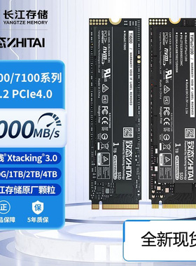 WD/西部数据 其他SSD固态1T 500G铠侠SF10/致钛TI600台式组装电脑