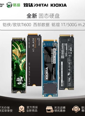 WD/西部数据 其他SSD固态1T 500G铠侠SF10/致钛TI600台式组装电脑