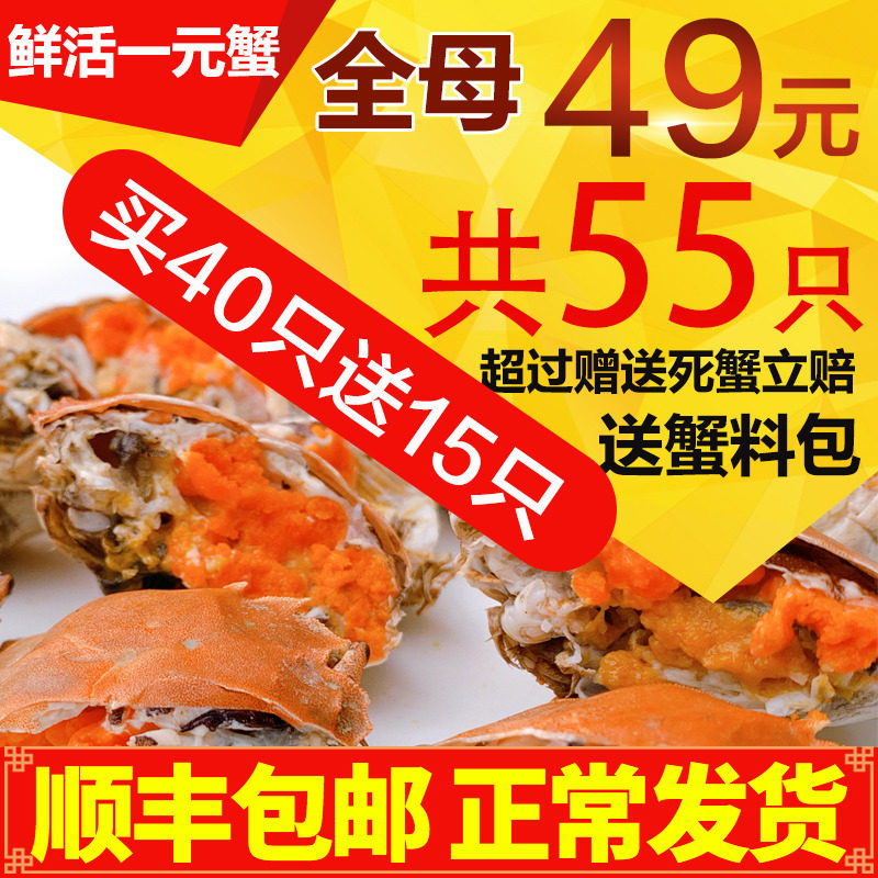 [The mother 55 only]Panjin river crab One yuan crab Fresh Crabs spicy Hairs Old man Crabin the Aquatic meat/Fresh fruits and vegetables/Cooked , Seafood/Aquatic/Product , Crabs , Crabs  category - from Buy2taobao.com to provide professional Taobao agent buy service