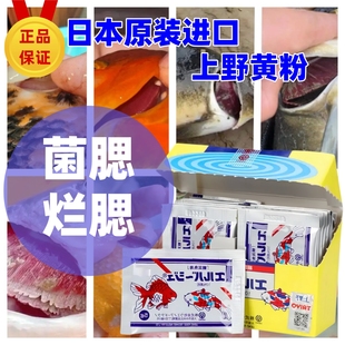日本进口上野黄粉正品鱼药兰寿泰狮锦鲤菌腮烂腮趴缸蹭缸强效鱼药