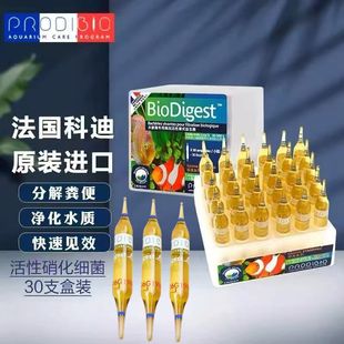 法国科迪硝化细菌进口淡海水鱼缸专用水质稳定剂净水剂