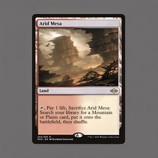 【莎莎的小窝】万智牌 摩登新篇2 不毛高地 英文 平/闪