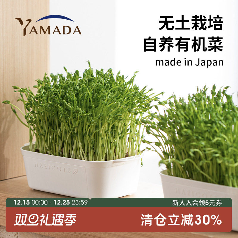 日本制豆苗栽培器果蔬种植盆无土水培发芽盆猫草种植盆阳台观赏