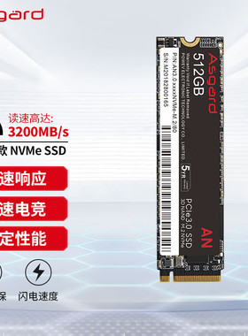 阿斯加特/Asgard  AN4/AN3M.2固态硬盘1T2T电脑SSD游戏NVME/PCI-E