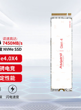 阿斯加特/Asgard  AN4/AN3M.2固态硬盘1T2T电脑SSD游戏NVME/PCI-E