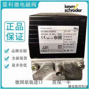 DT2WF1CG220R01 CG225R01 VT2WF1Z DT2WF1Z 议价电磁阀CG225R01