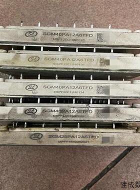 议价(请询价)SGM40PA12A6TFDSGM25PA12A