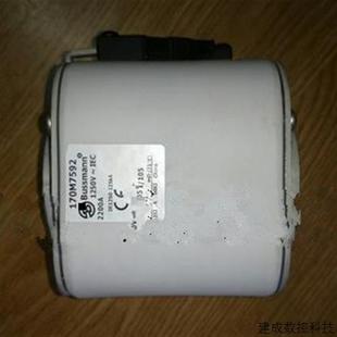 170M7165 议价170M7146 170M7205 170M7206 170M7145熔 170M7166