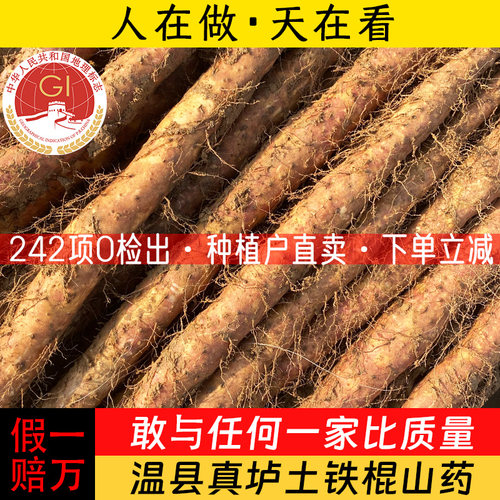 当季现挖正宗温县垆土铁棍怀山药