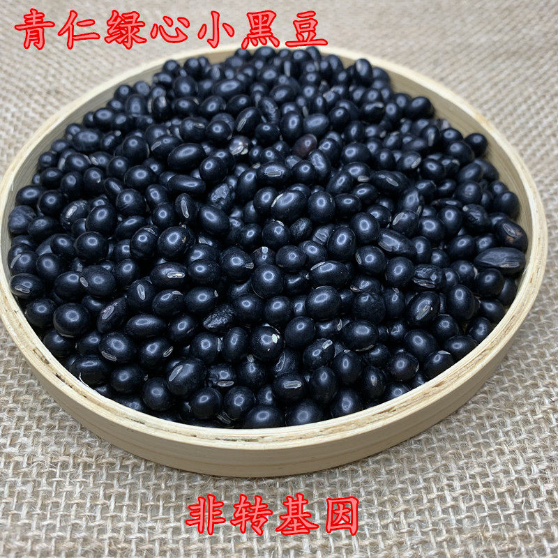 青仁绿心小黑豆农家自产500克非转基因打豆浆专用杂粮药用煲汤