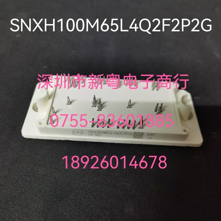 SNXH100M65L4Q2F2P2G SNXH100M65L3Q2F2PG SNXH100M65L4Q2F2P2GN1
