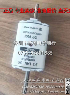 VDE0636-IEC60269 250A-gG-690V100kA N1085605 M1gG250-69 NH1