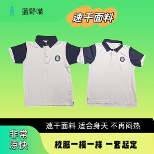 夏季速干校服短袖定制一模一样班服速干凉爽快干POLO立领凉快裤子