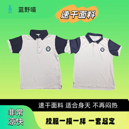 夏季速干校服短袖定制一模一样班服速干凉爽快干POLO立领凉快裤子