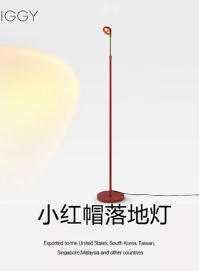 TWIGGY·枝间小红帽落地灯客厅沙发旁边轻奢落地氛围灯网红落地灯