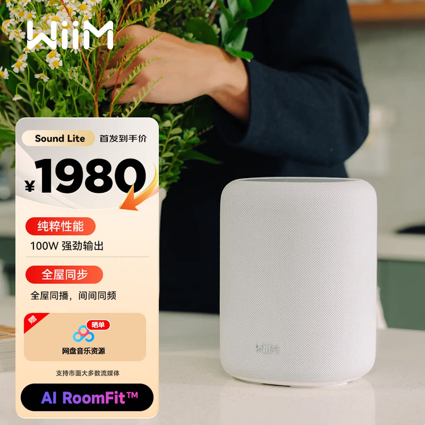 美国WiiM Sound Lite家用音乐流媒体无线HiFi音箱立体声HIFI音响