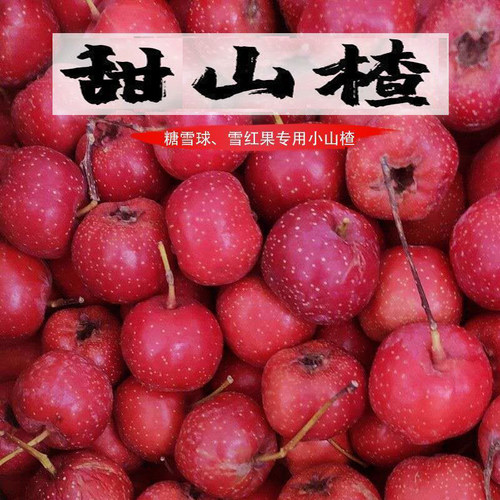新鲜甜山楂山里红鲜摘现发水果甜口小山楂