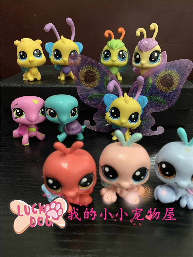 小小现货宠物屋L至Q版动物儿童玩具摆件手办乌龟蜜蜂蝴蝶寄居蟹PS,模玩/动漫/周边/娃圈三坑/桌游,潮玩盲盒,淘宝优惠券,粉丝福利购,淘宝优惠卷