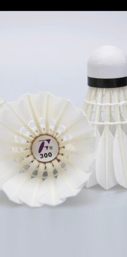 富力特300/300pro/700，温州地区用球专业比赛用实体店拆封不能退