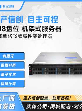 国产信创 2U8盘位机架式服务器 搭载飞腾处理器 飞腾-2000/64 CPU