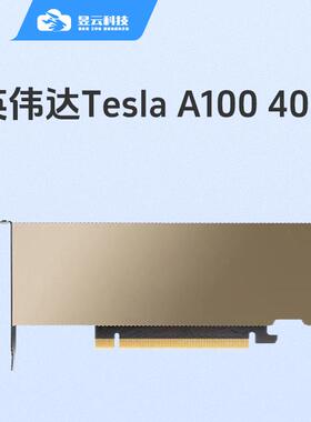 英伟达/NVIDIA A100 40G/80G PCI-E GPU运算深度学习推理仿真渲染