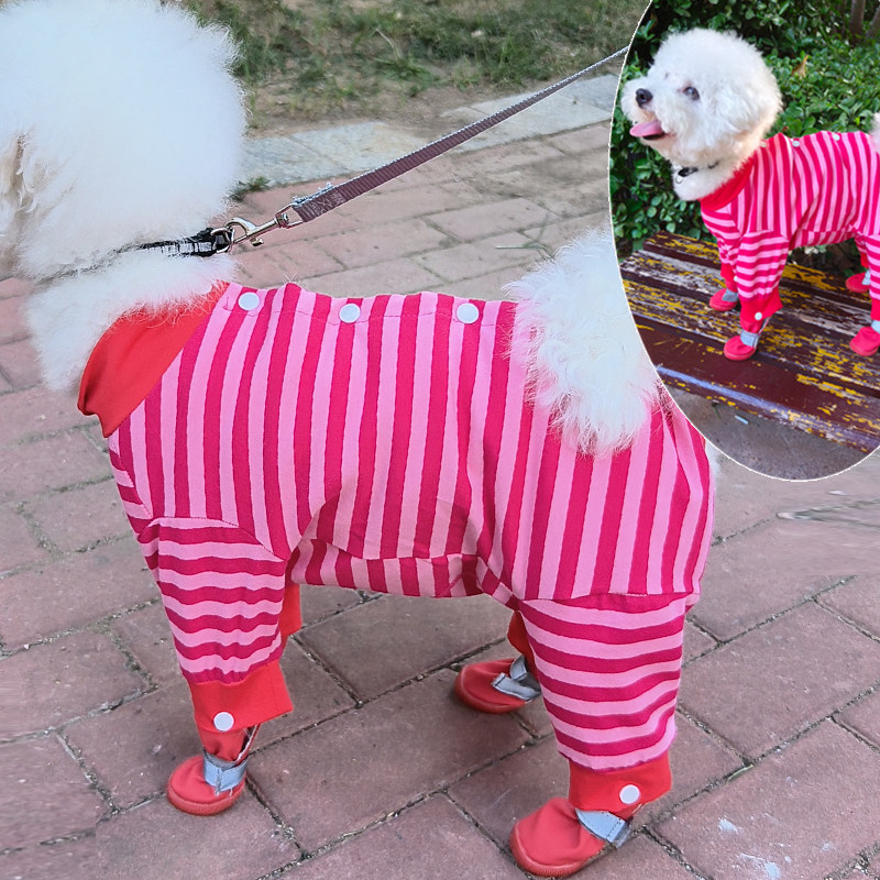 宠春夏秋全包肚四脚防脏衣服带鞋条纹泰迪比熊雪纳马尔博美中小犬,宠物/宠物食品及用品,狗宠物服装/雨衣,淘宝优惠券,粉丝福利购,淘宝优惠卷