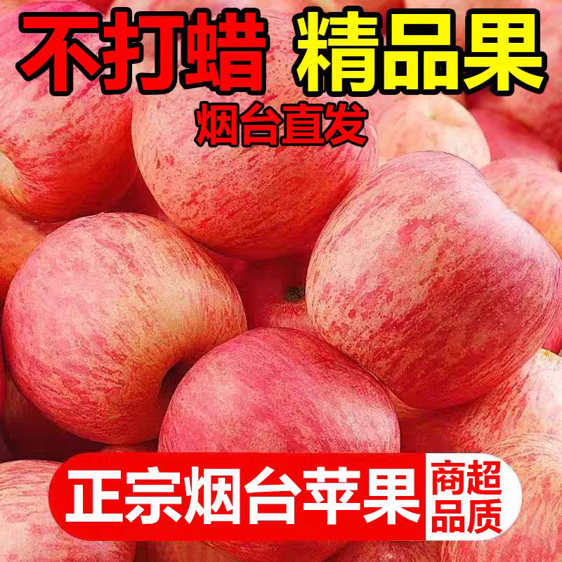 烟台栖霞苹果新鲜水果批发10斤整箱包邮冰糖心平果当季烟台红富士