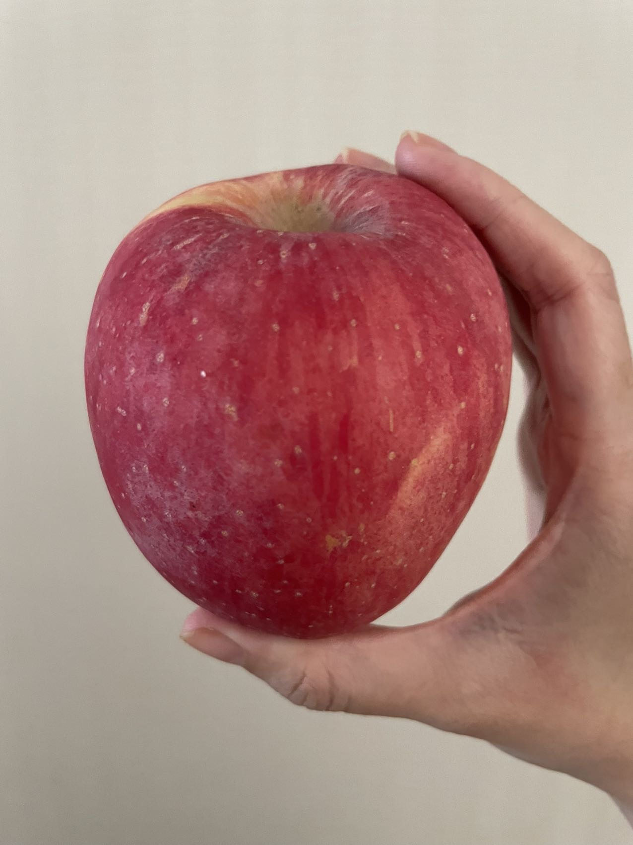 陕西洛川苹果8斤净重14-17个装脆甜