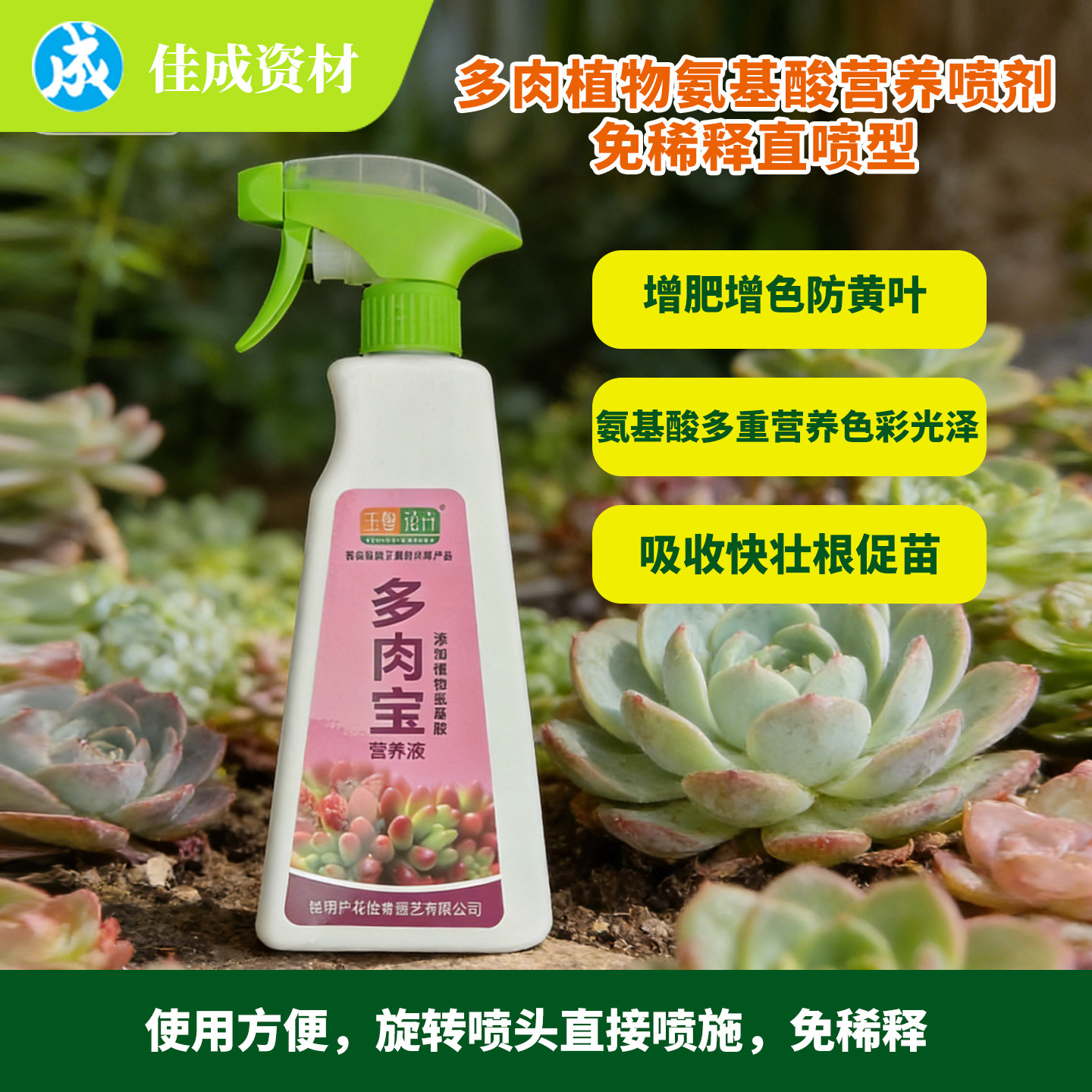 多肉专用爆侧芽素优芽促爆多头增色营养通用营养液喷雾包邮