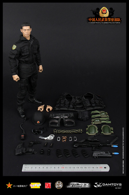 【GD漫玩社】DAMTOYS DAM78017 正义红师 中国人民武装警察部队