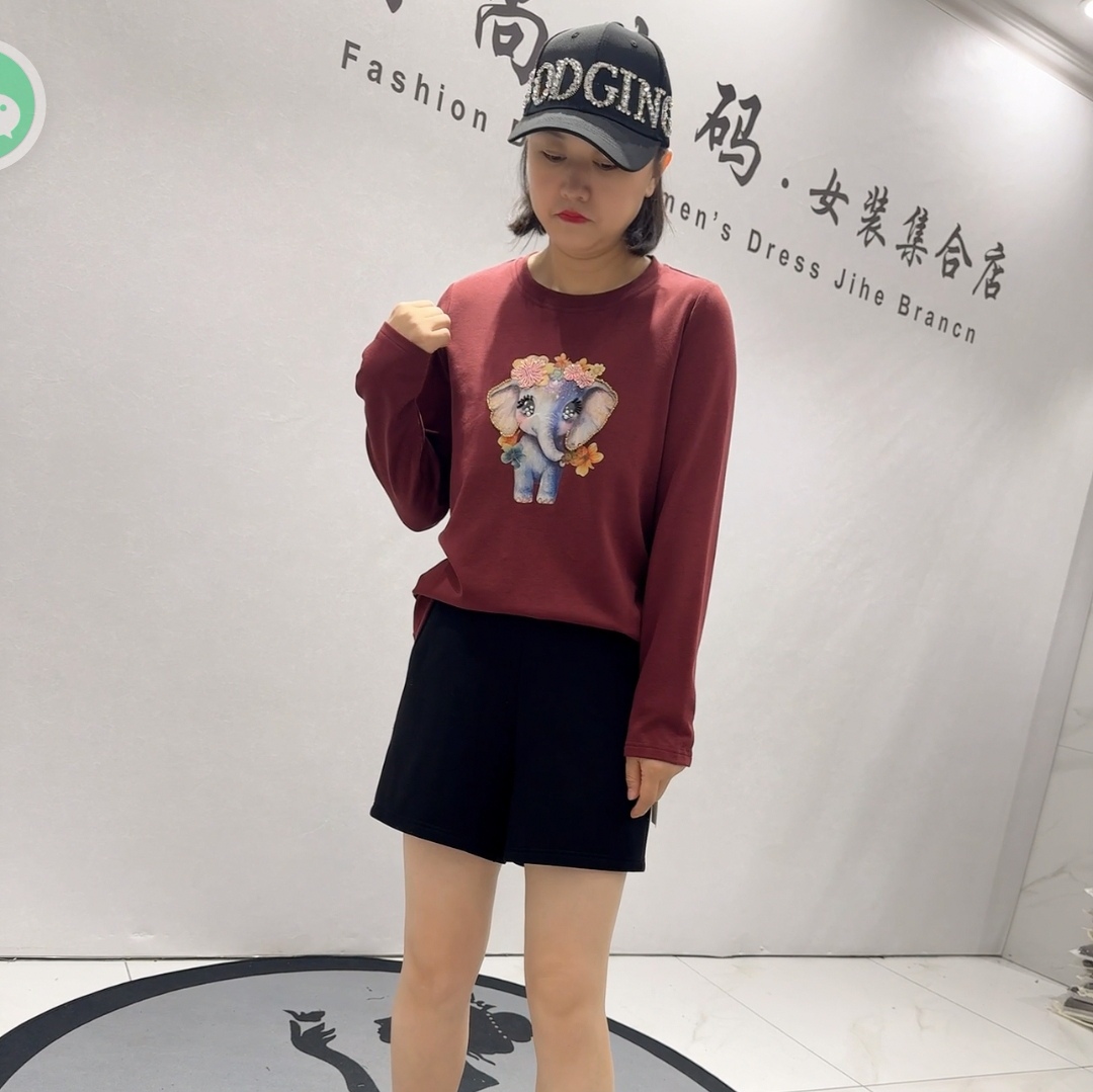 5207芮娜依莲初冬新品重工招财象图案圆领一体绒薄绒衫加大码女装