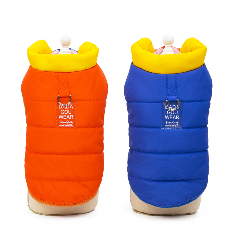 小金毛加绒吉娃娃狗狗衣服