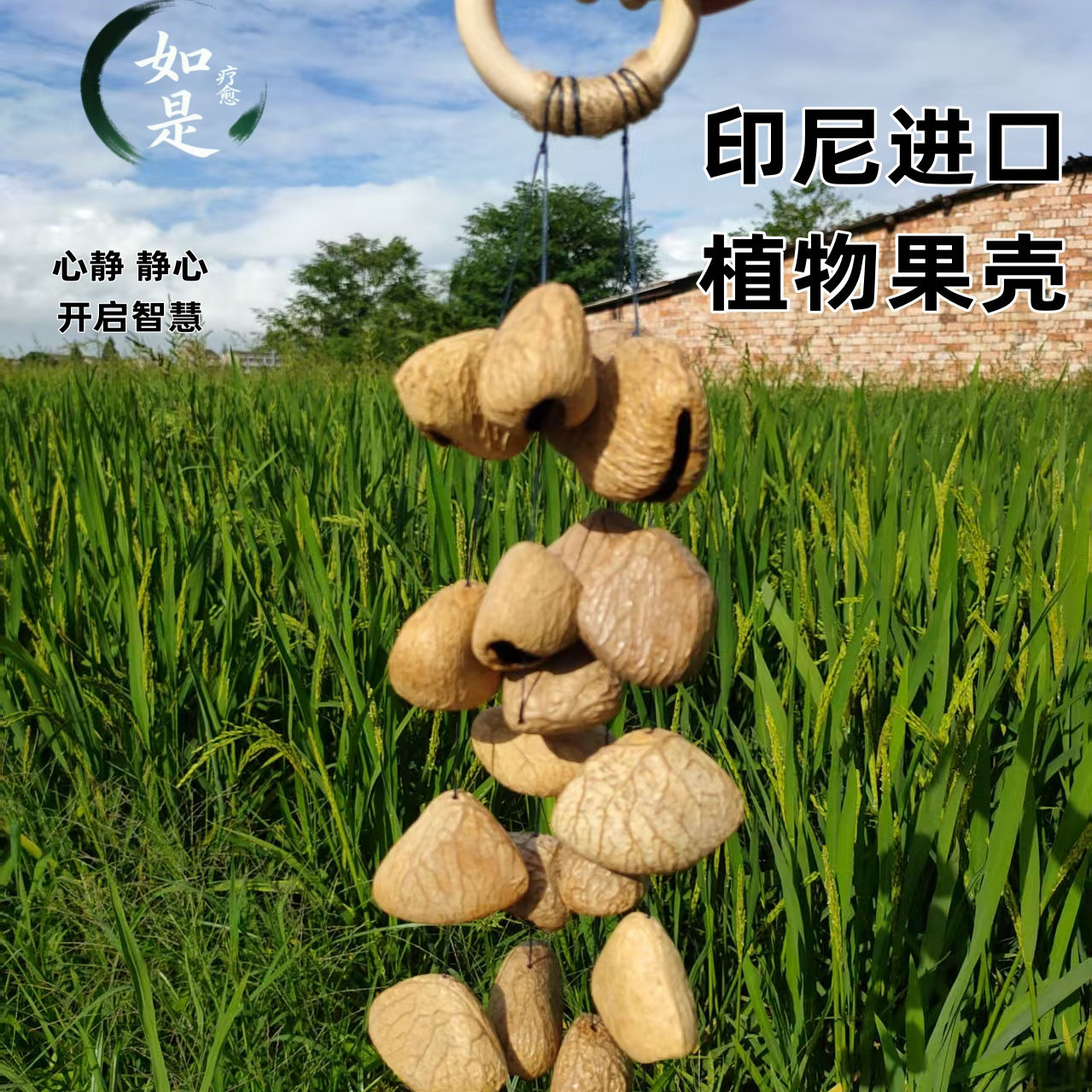 原创风铃果壳摇铃可定制