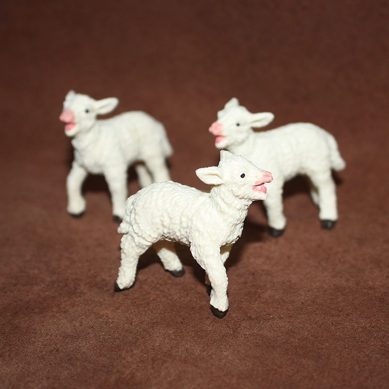safari动物模型塑胶绵羊羔