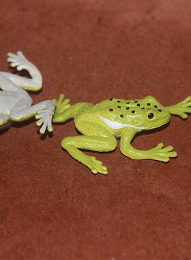 safari动物大百科仿真野生动物模型早教玩具场景摆件绿色树蛙塑料