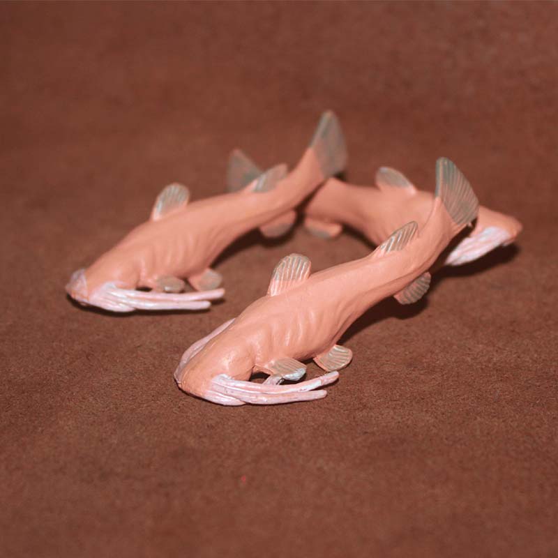 正版散货水产鲶鱼仿真动物模型