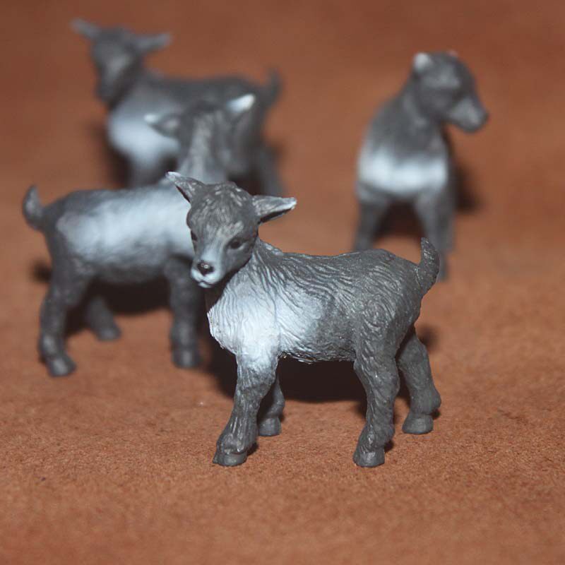 safari儿童认知 农场动物模型玩具 场景摆件 侏儒山羊羔 黑山羊