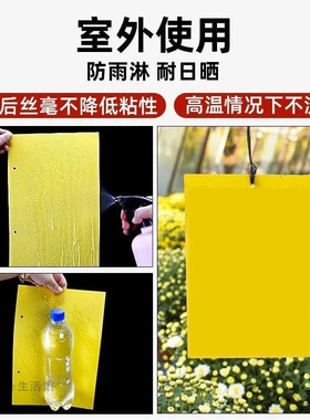 大棚强力防虫诱捕粘虫板家用有效得力克星飞虫双面室内外黄色