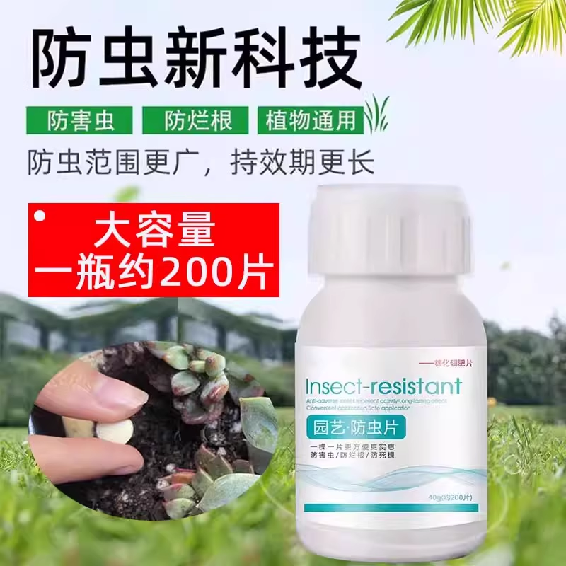 防虫糖化烂硼肥园艺蓟马片除根花卉盆栽果虱蚜虫防绿白粉片植植物