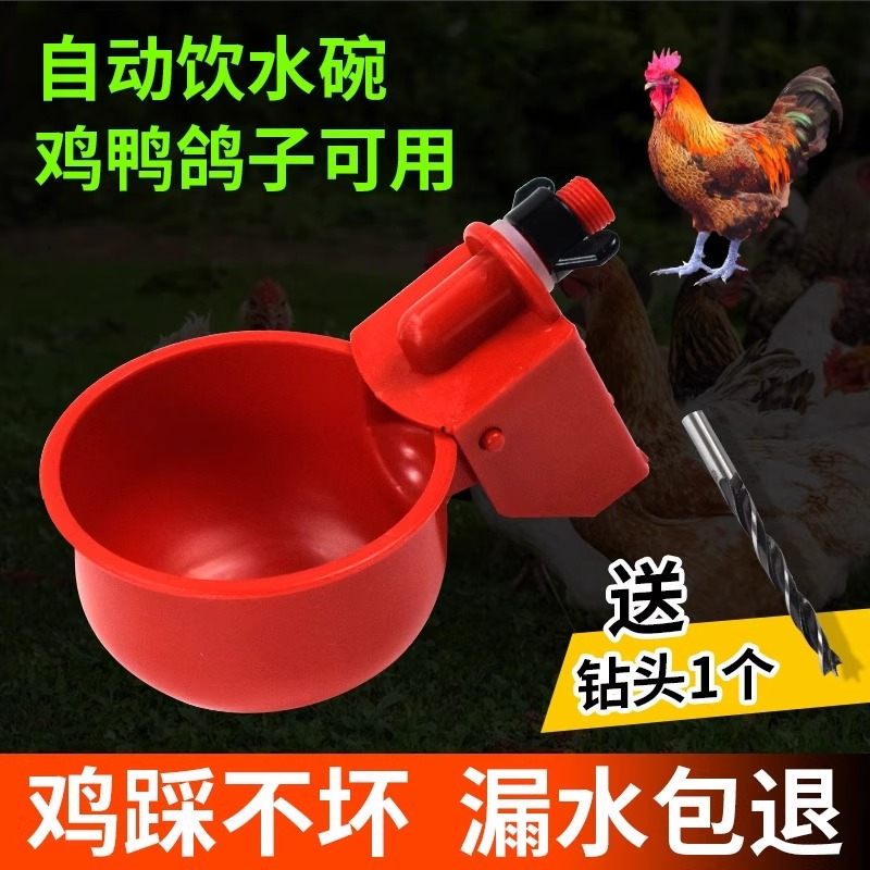 养鸡用自动饮水器鸡鸭鹅饮水碗鸽子喝水壶鹌鹑家禽鸟小鸡喂鸡神器