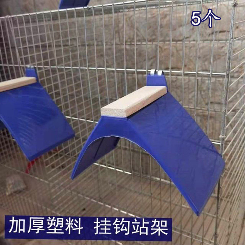 鸽子用品用具鸽子栖架站架带挂钩站架塑料挂钩款式鸽子栖架栖息架