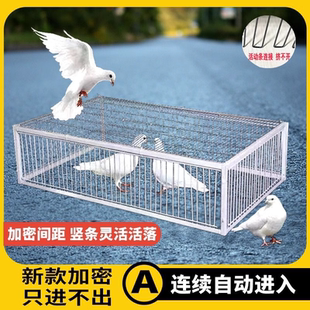 天落笼鸽子笼加密鸽子活络门只进不出撞门鸽笼铁笼跳笼自动门神器