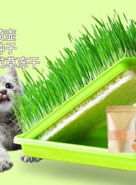 猫草化毛球小麦种植水培育苗盘+