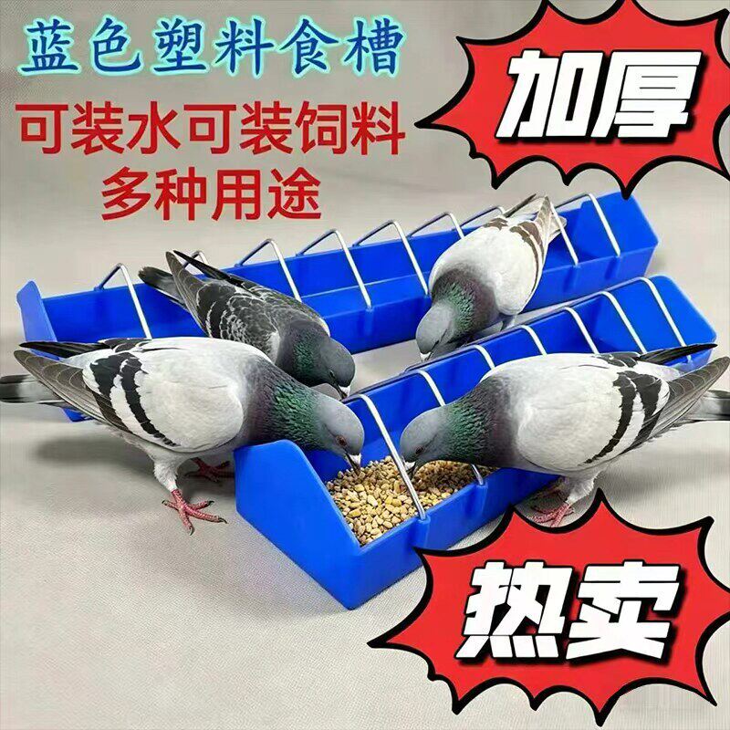 鸽子专用塑料不锈钢复合食槽自动